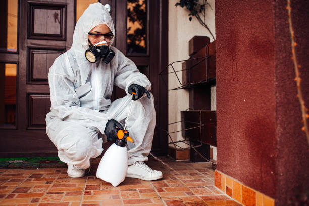 Reliable Bed Bug Control contractor in Sellersburg, IN by Nex Pest Control